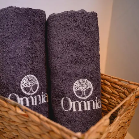 Omnia No2 Gæstehus Amorgos